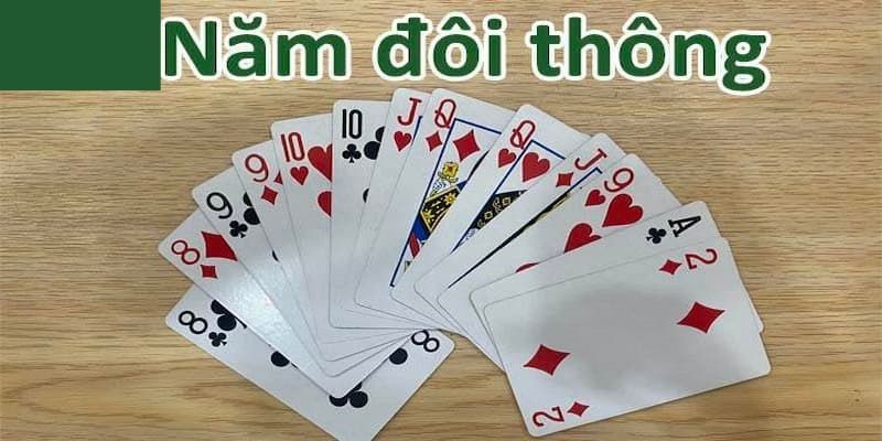 5 Đôi Thông Và Những Nội Dung Thú Vị Mà Bạn Cần Biết