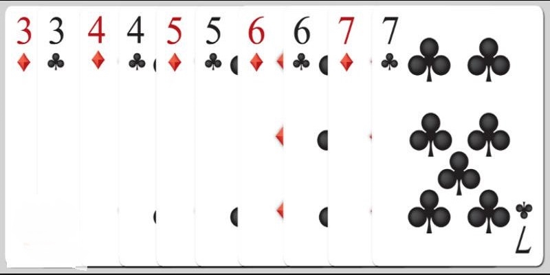 5 Đôi Thông Và Những Nội Dung Thú Vị Mà Bạn Cần Biết