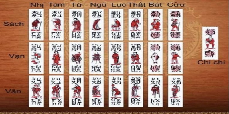 To Tom là gì? Cách chơi và trải nghiệm cho người mới bắt đầu