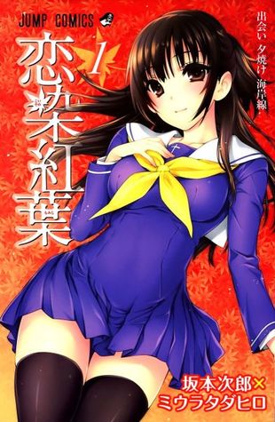 Top 40 Manga Ecchi hay nhất mọi thời đại
