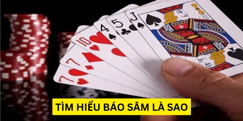 Tuyên bố Sam loc là gì? Các quy tắc Sam loc quy định khi nào thì tuyên bố Sam?