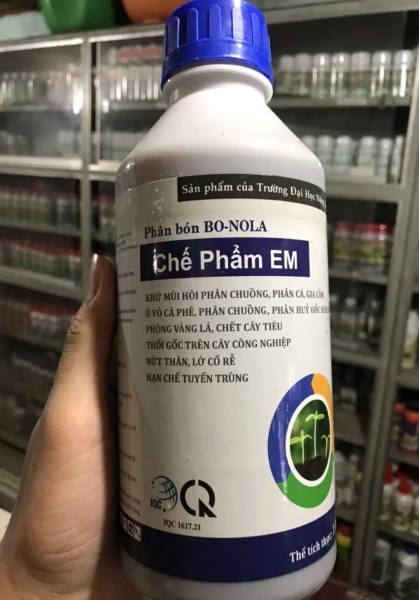 Cách khử mùi chuồng gà bằng chế phẩm sinh học an toàn 6 Cách khử mùi hôi chuồng gà bằng chế phẩm vi sinh an toàn