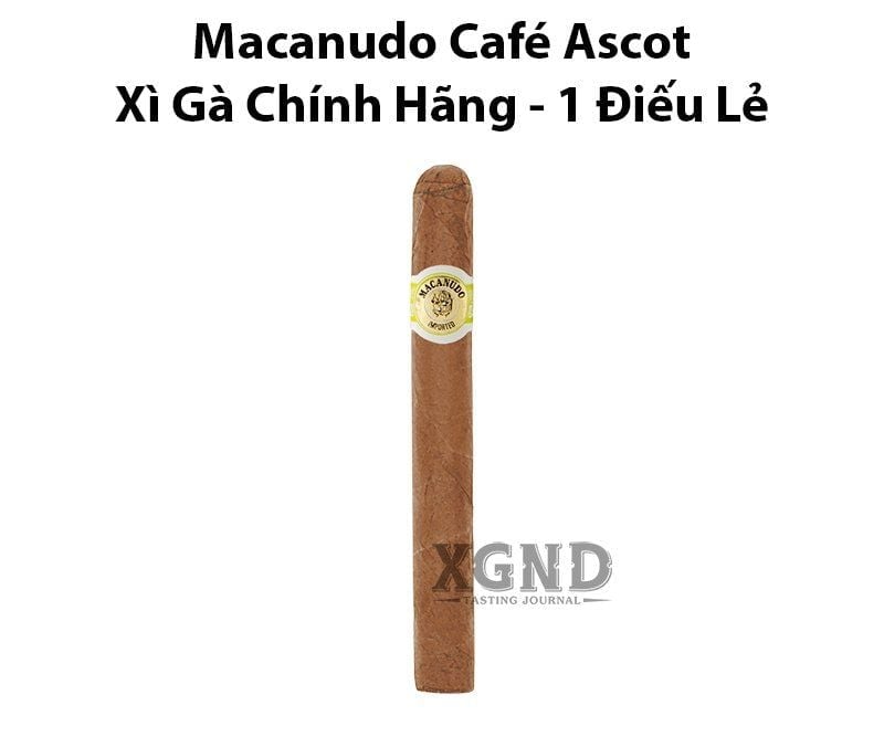 Xì gà Macanudo Café Ascot - Xì gà đích thực