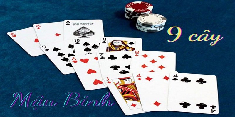 Hướng dẫn cách chơi Mậu Binh 9 lá cho người mới bắt đầu