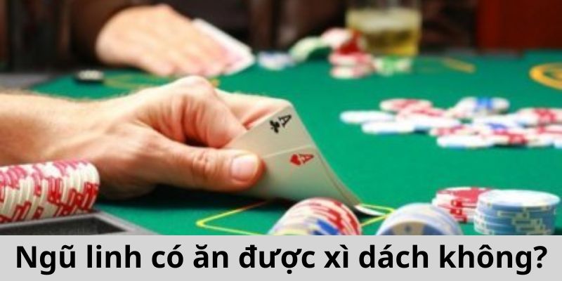 Góc Hỏi Đáp - Ngũ Linh là gì? - một chiếc vòng tay