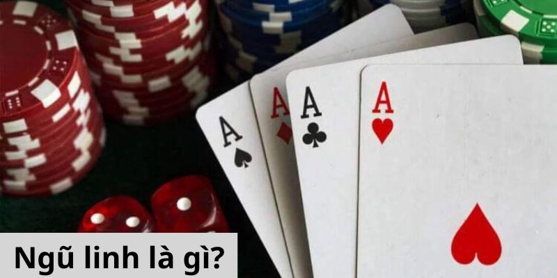 Góc Hỏi Đáp - Ngũ Linh là gì? - một chiếc vòng tay