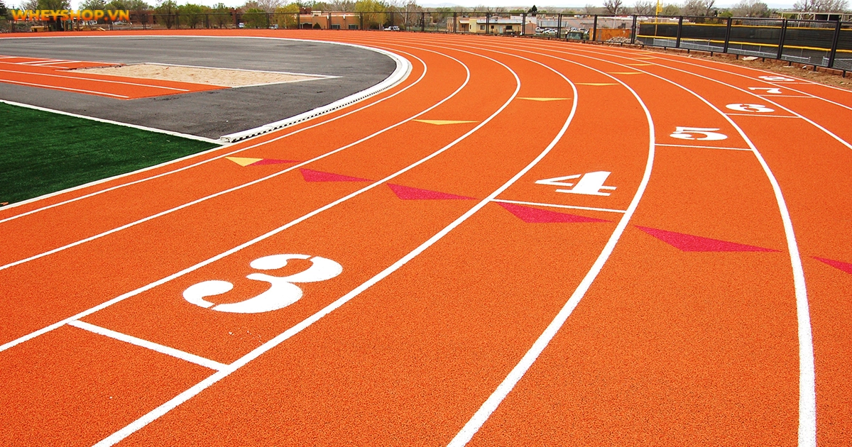 Đường Pitch là gì? Phân biệt đường piste hay đường pitch - WheyShop.vn