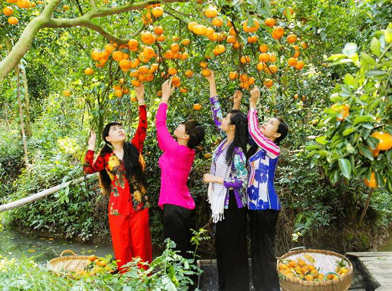 Top 18 Ben Tre Fruit Garden thu hút nhiều du khách nhất vào năm 2022