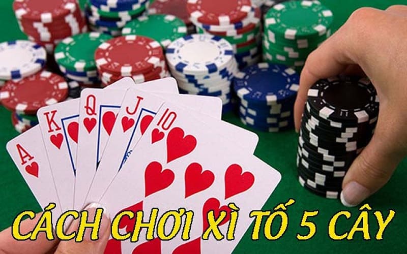 Cách thổi 5 cây cơ bản và hiệu quả cho người mới bắt đầu