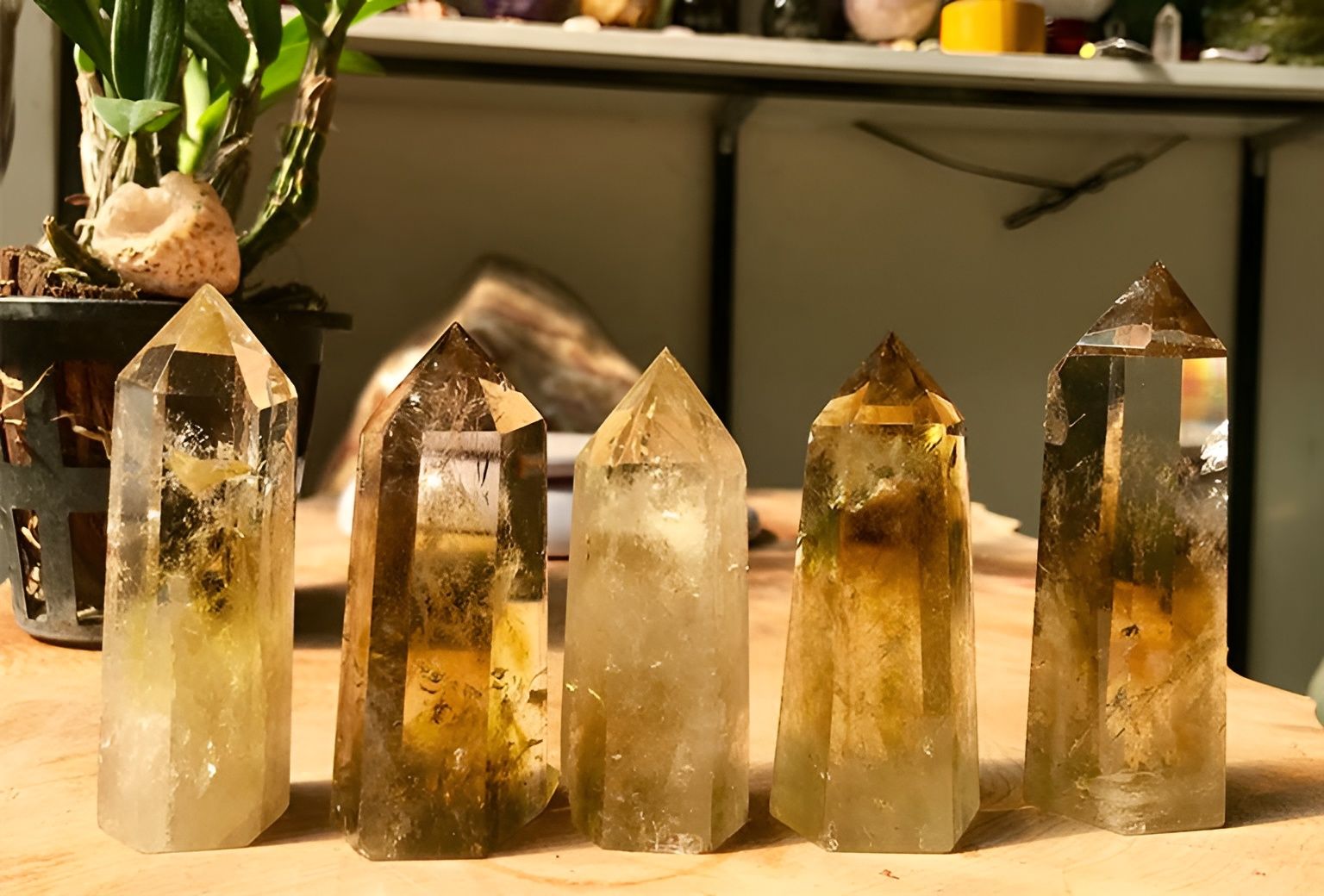 Địa chỉ nào phù hợp với năm Kỷ Hợi 1995? Giải thích chi tiết về địa chỉ nhà đẹp 2023