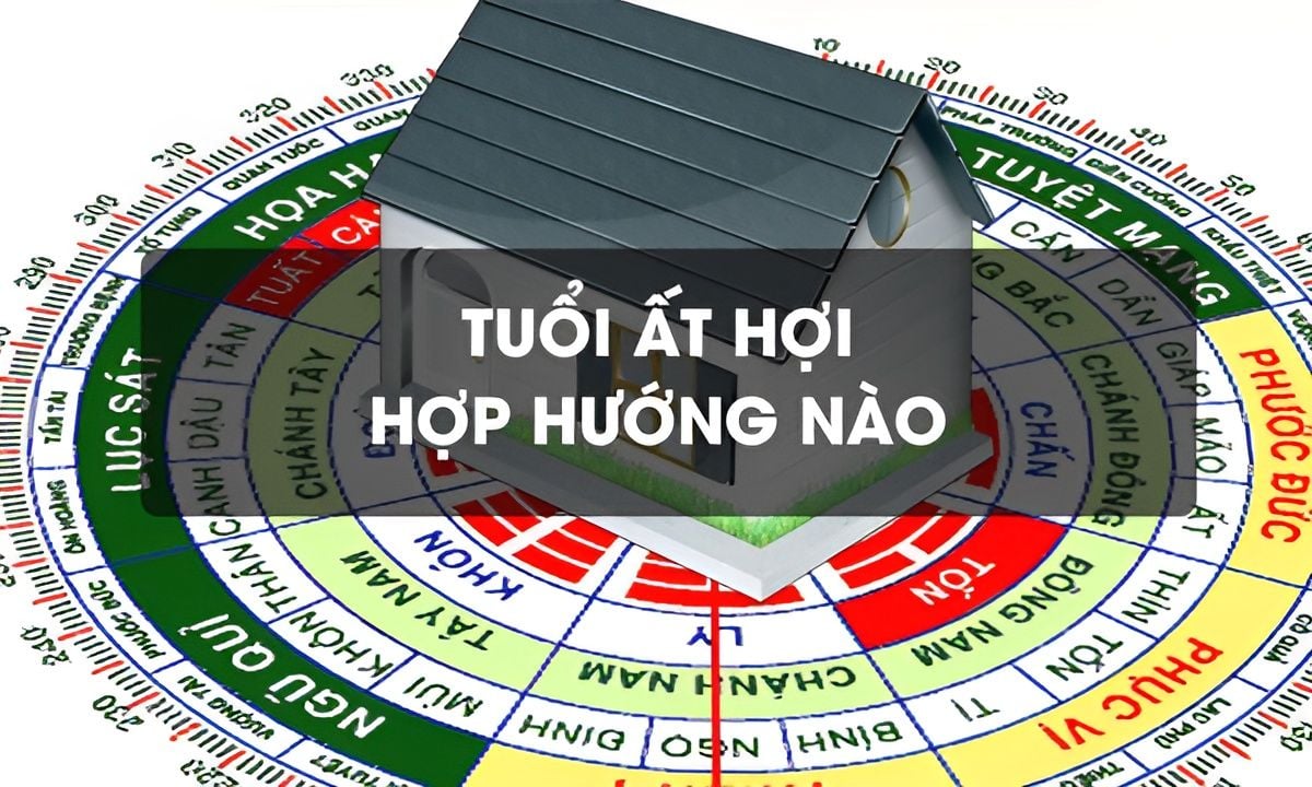 Địa chỉ nào phù hợp với năm Kỷ Hợi 1995? Giải thích chi tiết về địa chỉ nhà đẹp 2023