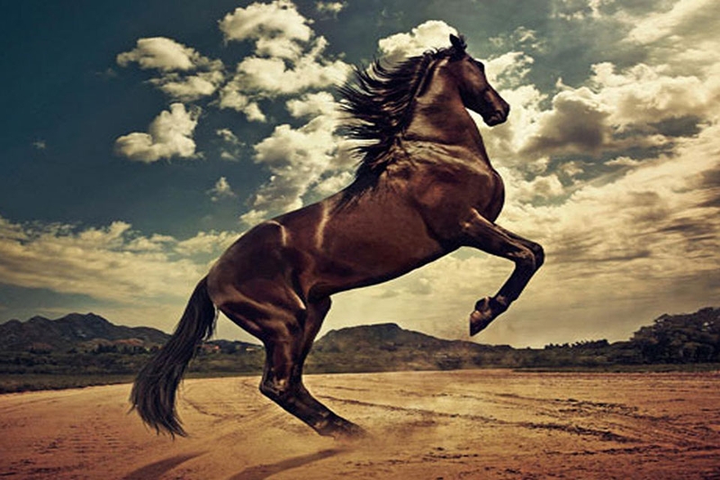 Giải mã cuộc đời người sinh năm Canh Ngọ 1990: Tình duyên, sự nghiệp, sức khỏe