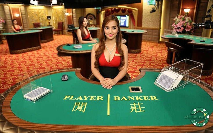 Học cách chia bài trong casino – Chuyện nghề Dealer - Pokerfunny