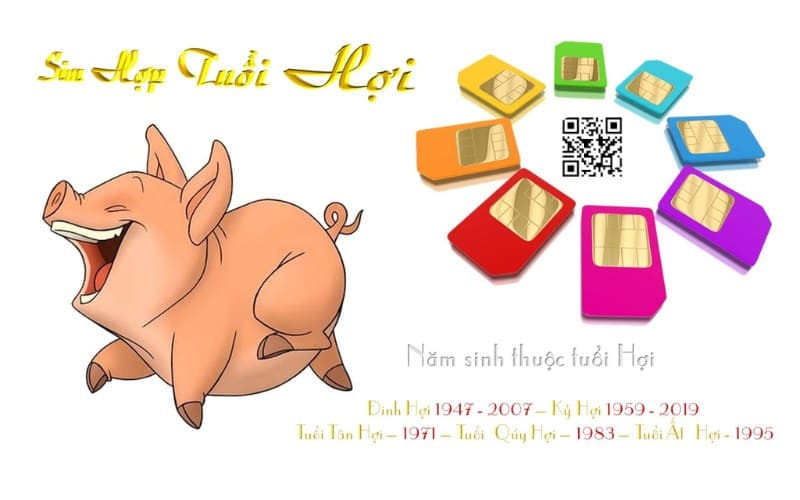 Tìm sim phong thuỷ hợp tuổi Hợi - Mua Sim