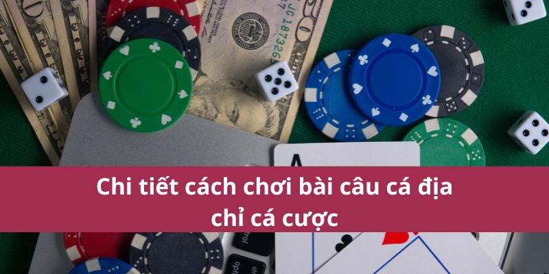 Cách chơi bài Fishing Cards dễ dàng và kỹ thuật chiến thắng 3 Cách Chơi Bài Câu Cá Dễ Hiểu Và Kỹ Thuật Chiến Thắng