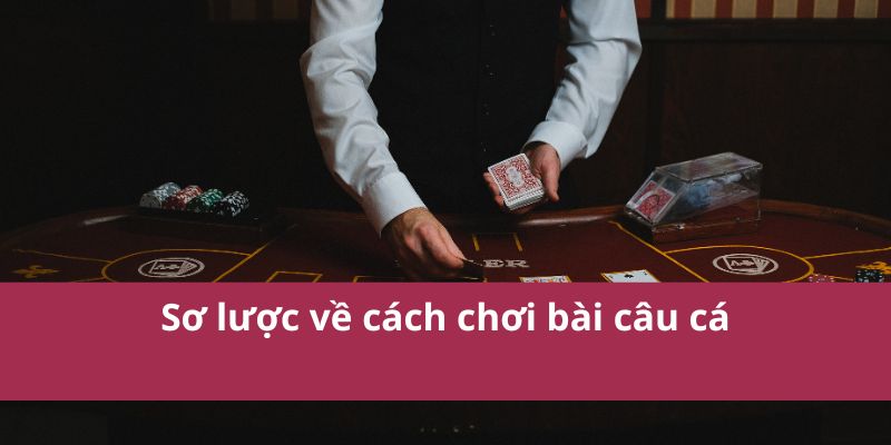 Cách chơi bài Fishing Cards dễ dàng và kỹ thuật chiến thắng 2 Cách Chơi Bài Câu Cá Dễ Hiểu Và Kỹ Thuật Chiến Thắng