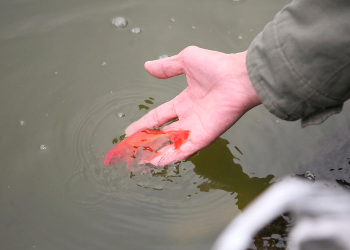 Tổng hợp 7 cách đơn giản hóa vấn đề cờ bạc xui xẻo, vận rủi - thu hút vận may