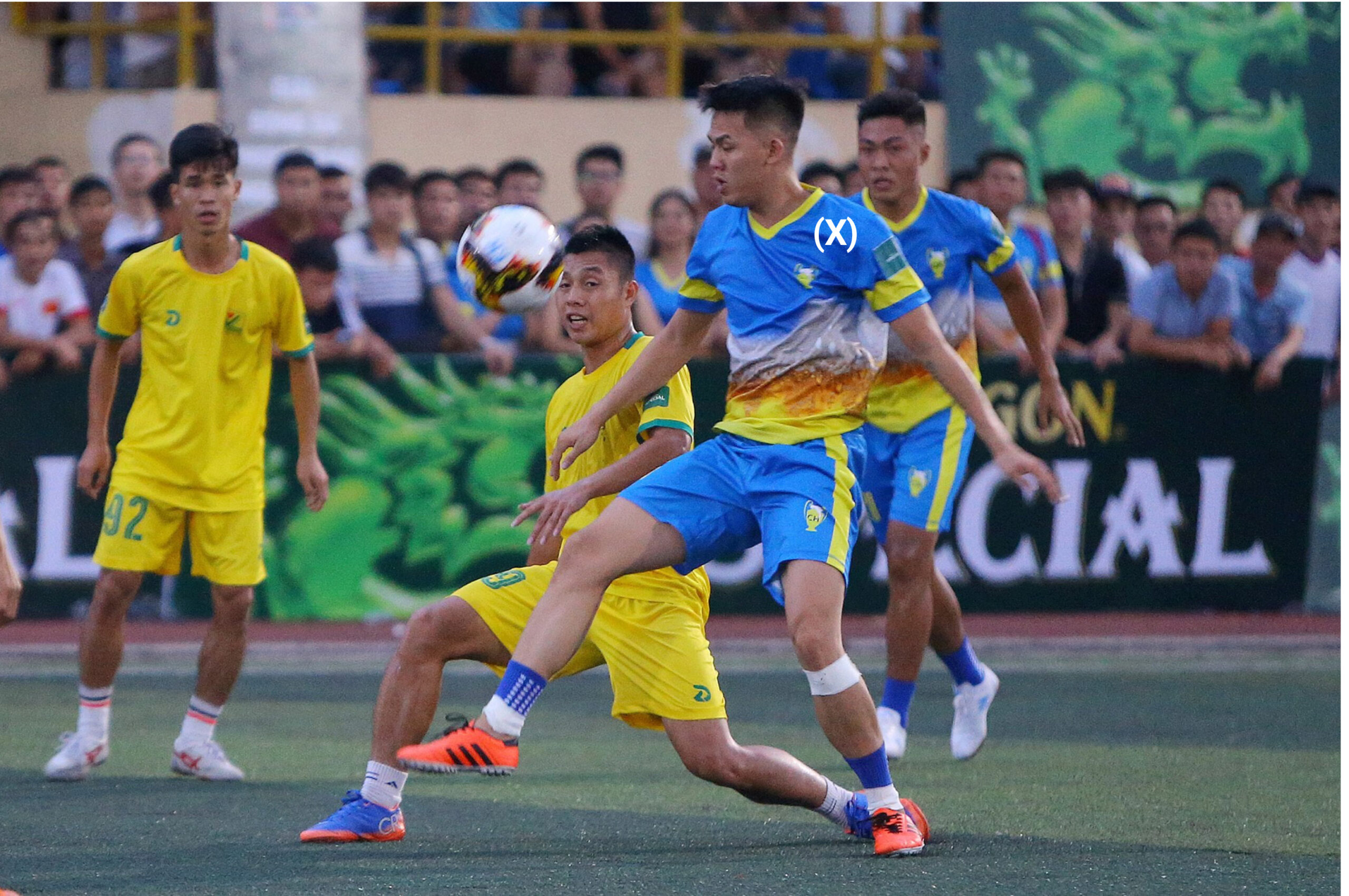 Đá Phủi Là Gì? Khám Phá Nguồn Gốc Và Đặc Điểm Của Đá Phủi