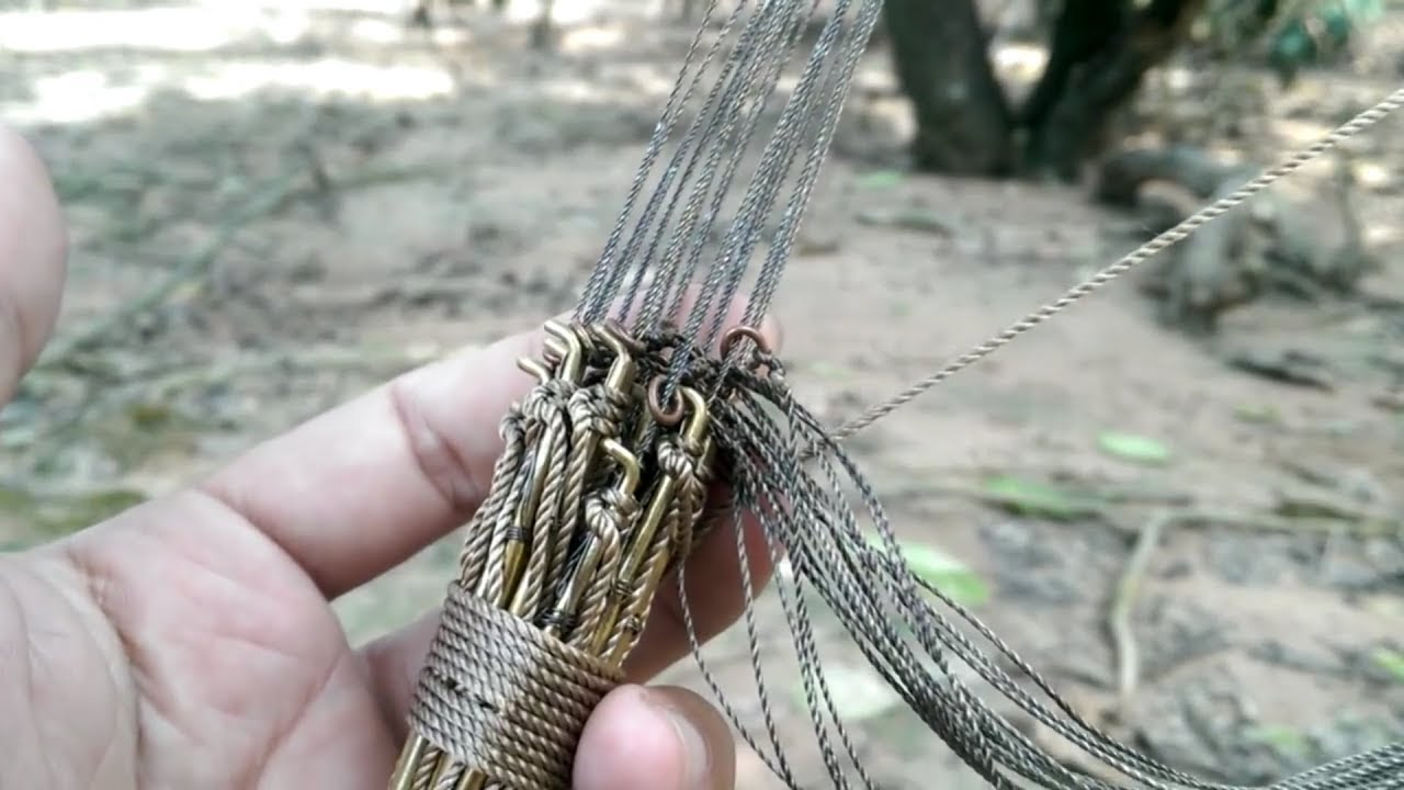 Tìm hiểu cách bẫy gà rừng đơn giản và hiệu quả nhất hiện nay - Cẩm nang nuôi trồng sinh vật cảnh