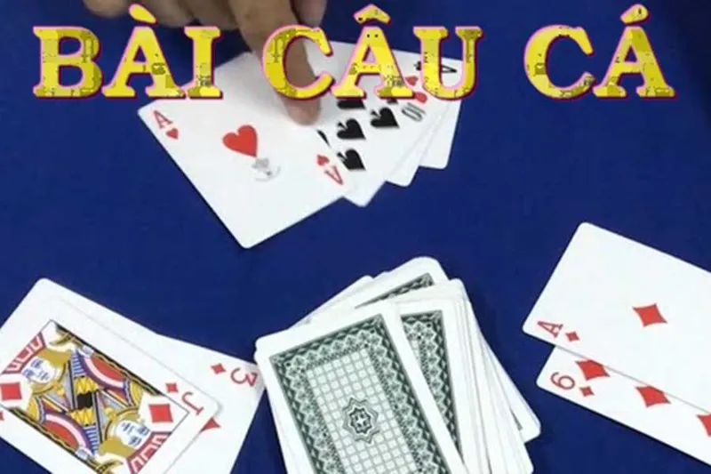 Cơ chế vận hành Bài Câu Cá online