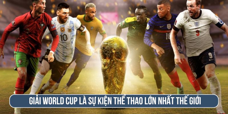World Cup mấy năm 1 lần? Tìm hiểu giải bóng đá thế giới